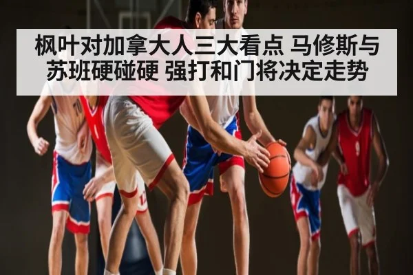 枫叶对加拿大人三大看点 马修斯与苏班硬碰硬 强打和门将决定走势